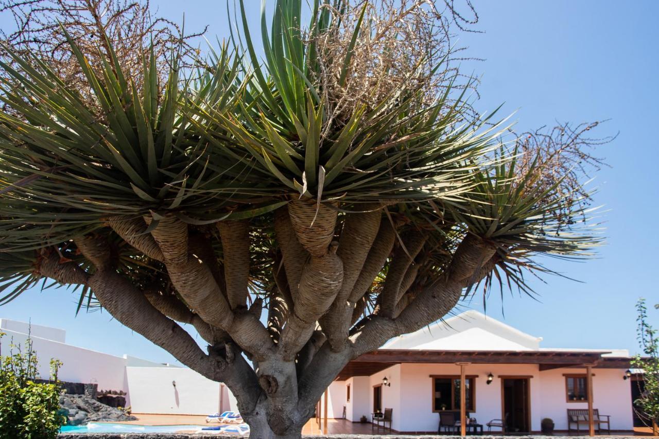 Villa Casa Lola Lanzarote Piscina Climatizada Y Wifi Free à San Bartolomé Extérieur photo